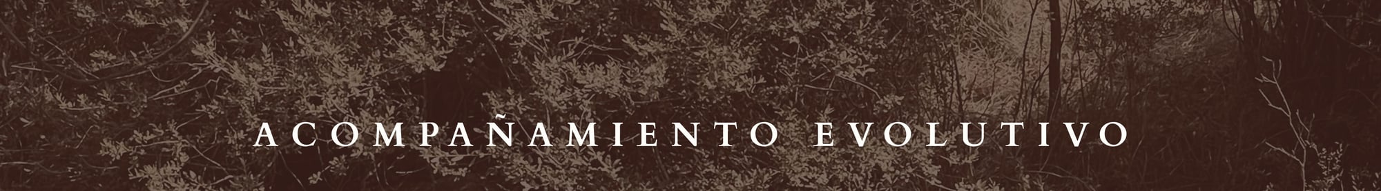 Diseño sin título (28)