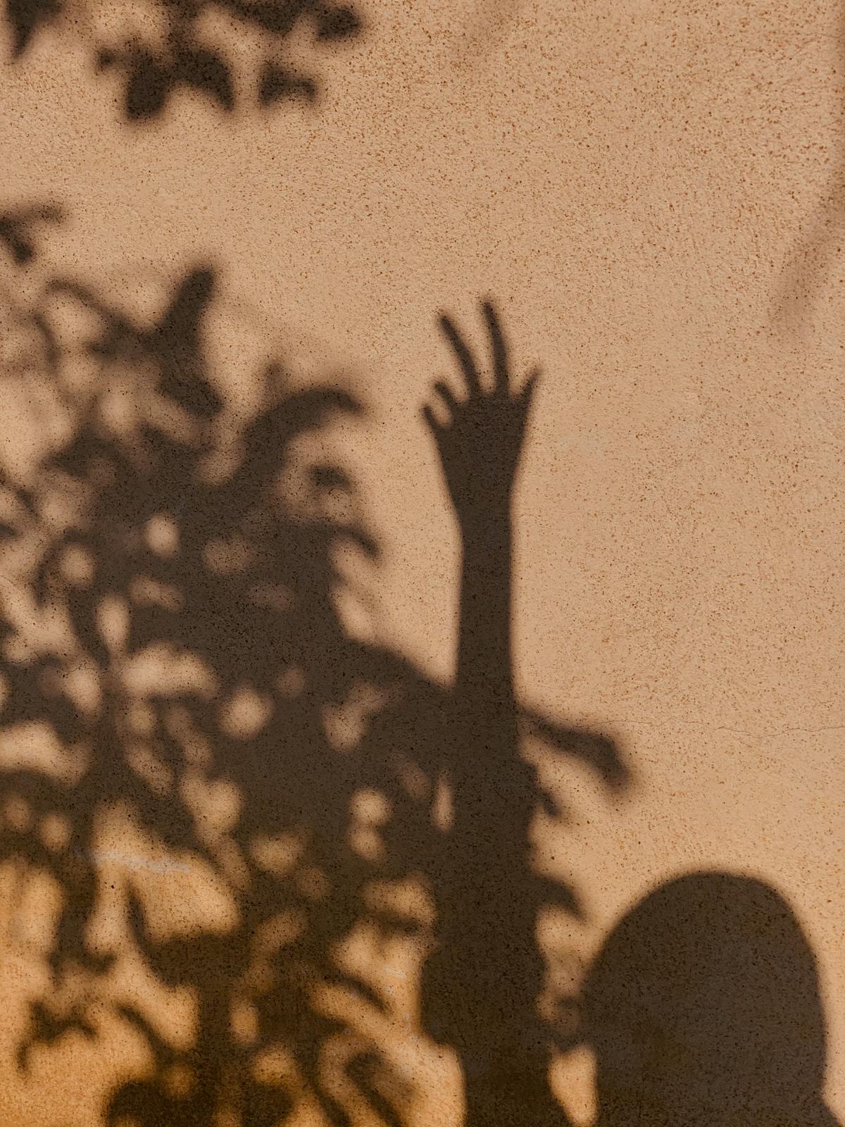 pexels-photo-8274988